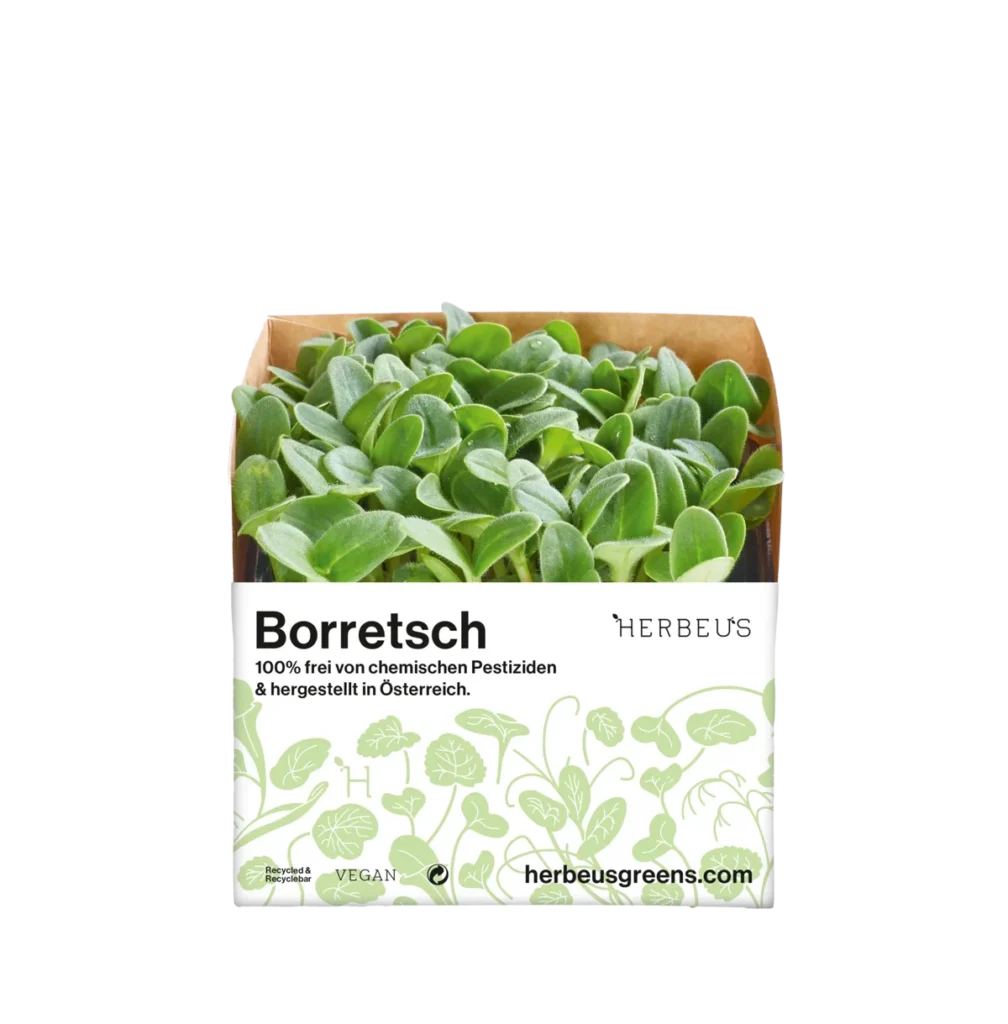 Cup Micro Greens Borretsch von Herbeus