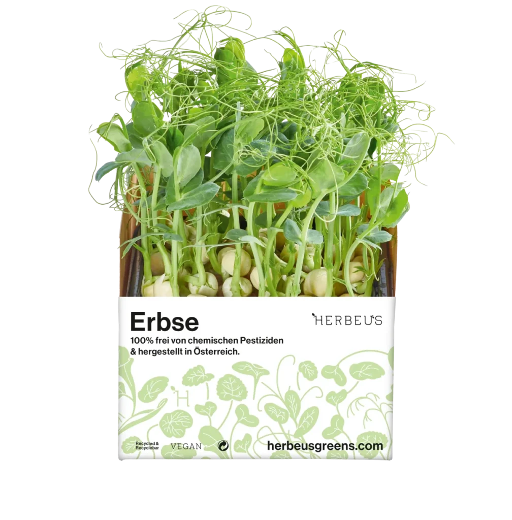 Cup Micro Greens Herbeus Erbse