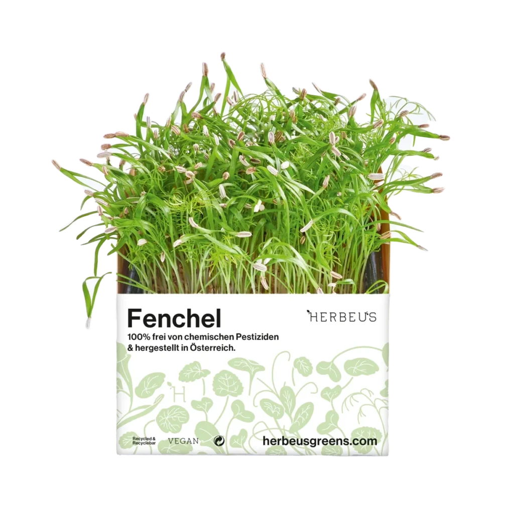 Cup Micro Greens Herbeus Fenchel