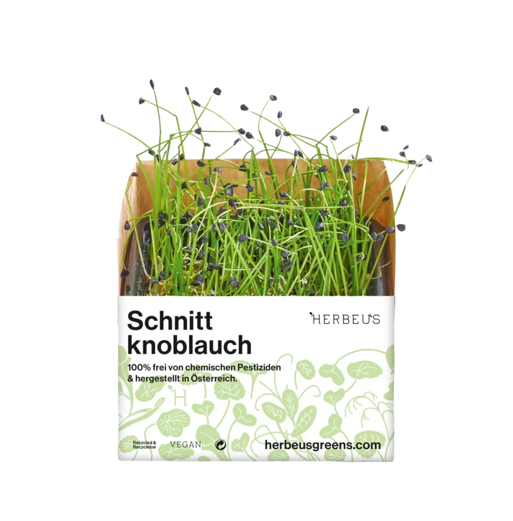 1 Cup Micro Greens Schnittknoblauch von Herbeus. 100% frei von chemischen Pestiziden und hergestellt in Oesterreich.