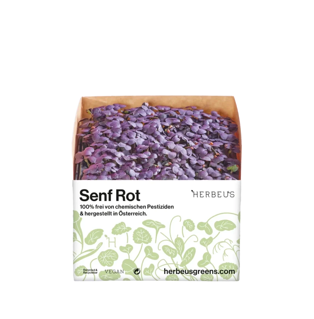 Ein Cup Herbeus Micro Greens Senf Rot, 100% frei von chemischen Pestiziden und hergestellt in Oesterreich.