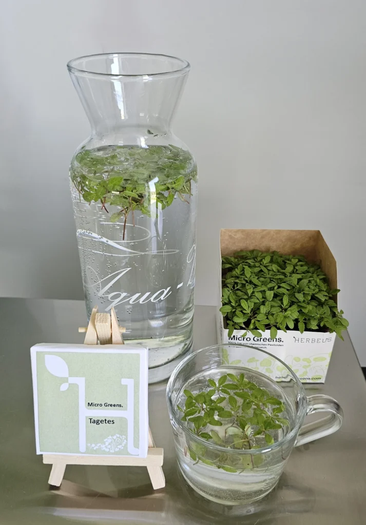 infused water mit tagetes kresse