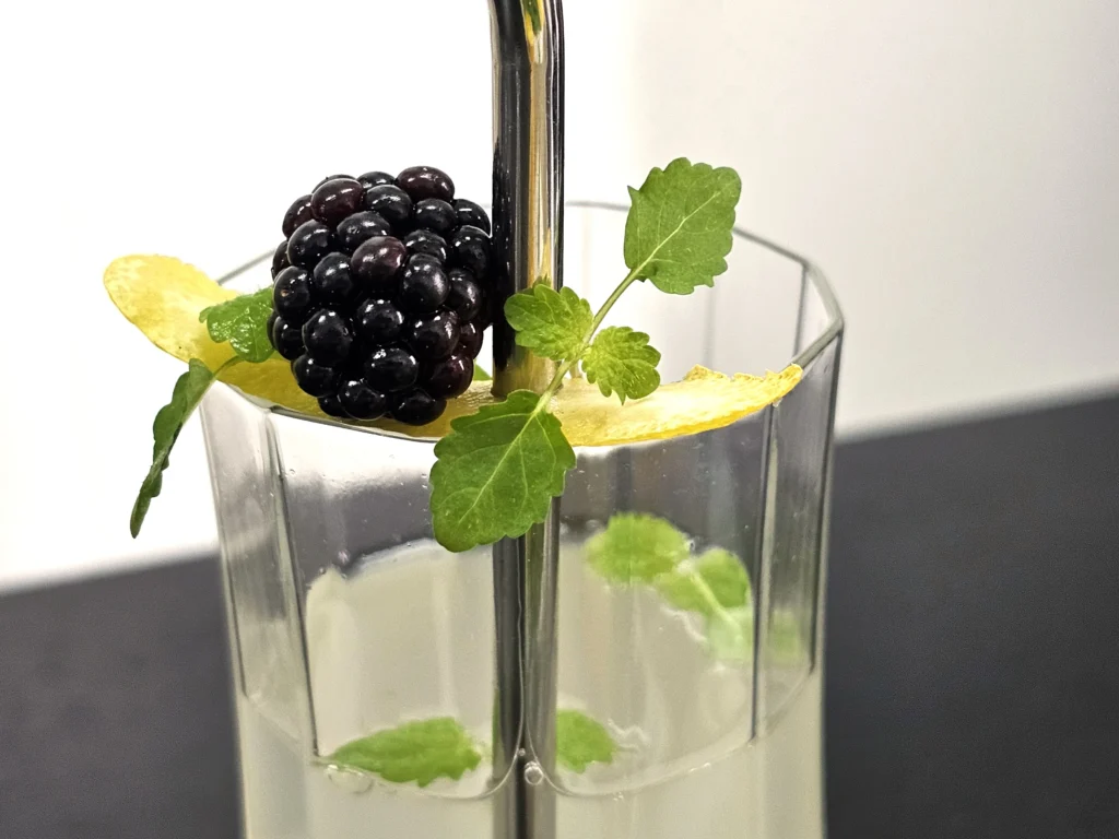 Lemonade with lemon balm cress