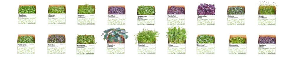 Herbeus Micro Greens Sortiment