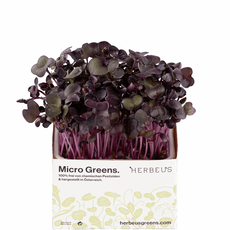 Micro Greens Rioja Kresse von Herbeus